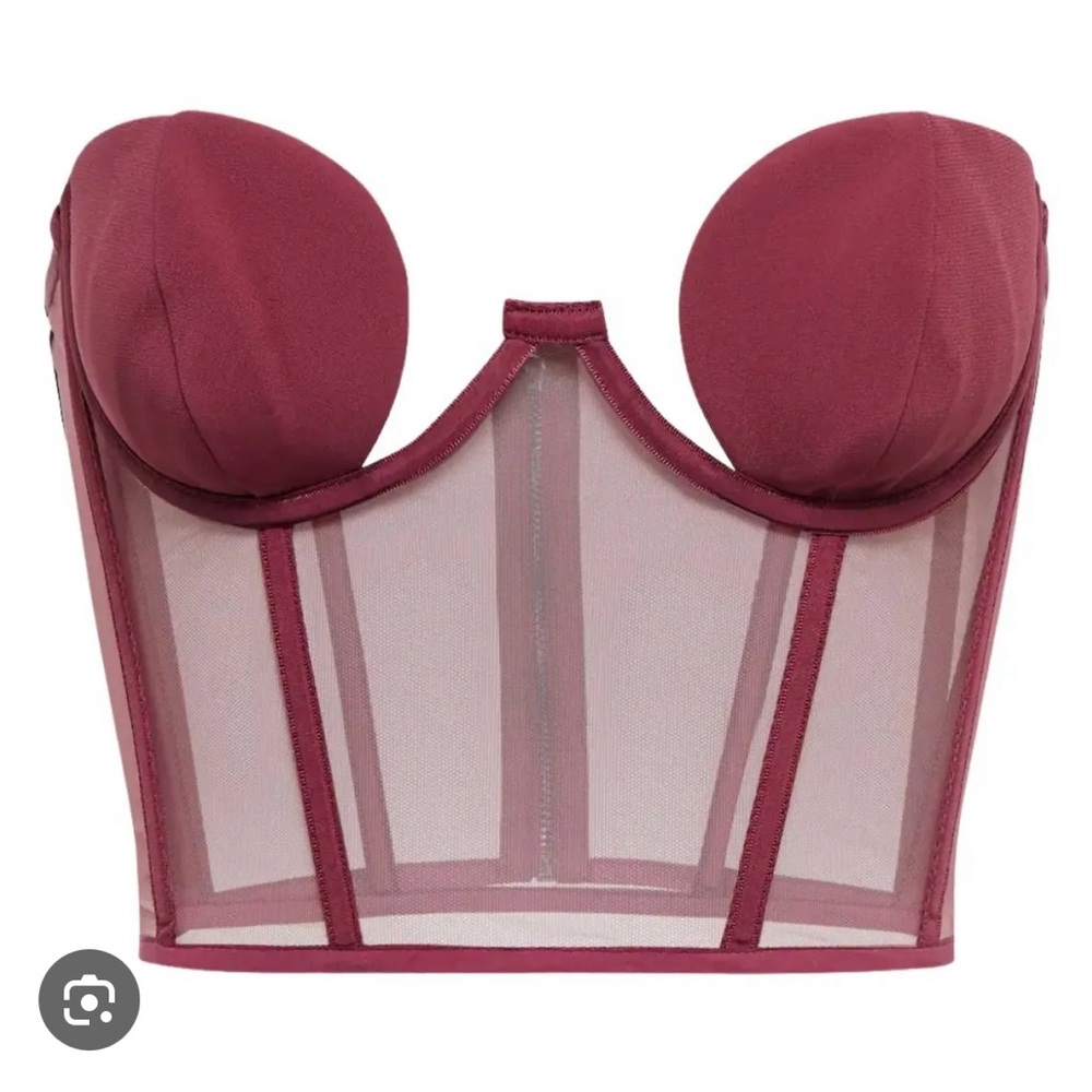 Nensi Dojaka Tulle-Paneled Bustier Top